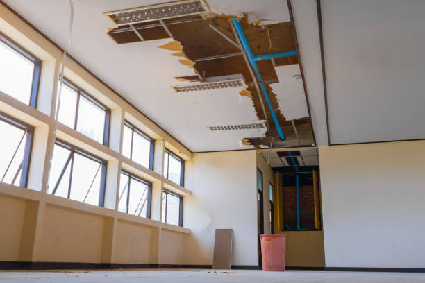 Best Water damage contractors near me  in Penrose, CO