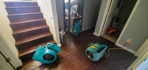 Best Water damage restoration services  in Penrose, CO