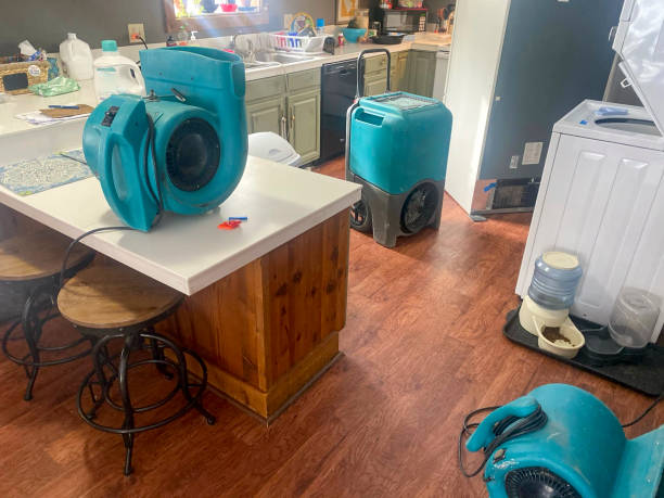 Reliable Penrose, CO Water damage restoration Solutions