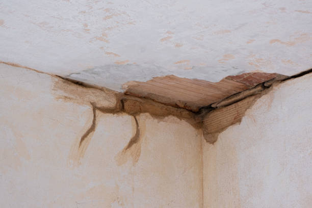 Best Flood damage cleanup  in Penrose, CO