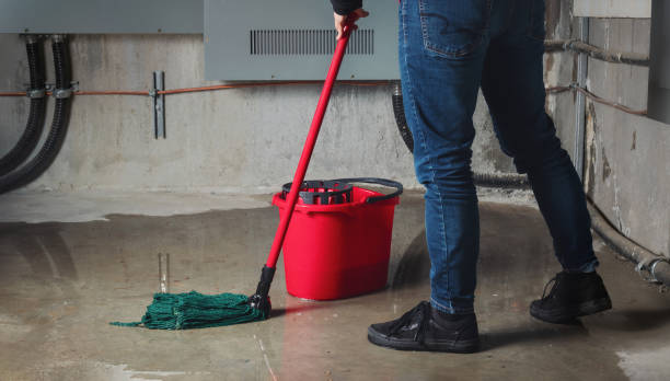 Best Water damage contractors near me  in Penrose, CO