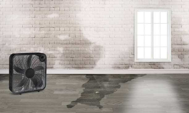 Best 24-hour water damage restoration  in Penrose, CO