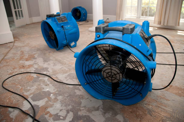Best Basement water damage restoration  in Penrose, CO