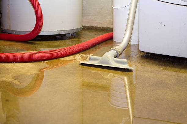  Penrose, CO Water damage restoration Pros