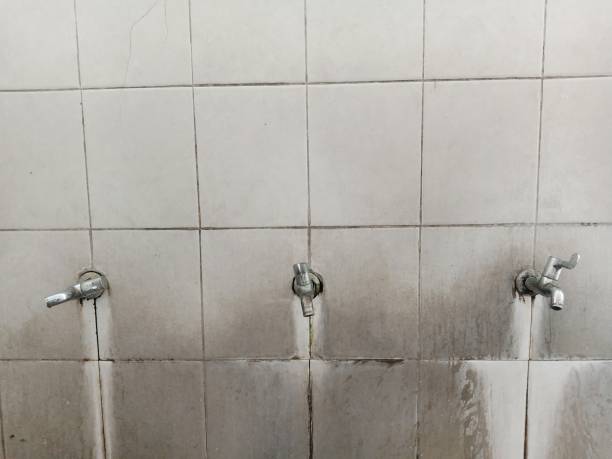 Water damage restoration mold remediation in Penrose, CO