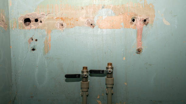 Best Professional water damage repair  in Penrose, CO