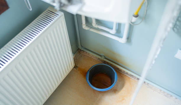 Best Water damage cleanup near me  in Penrose, CO