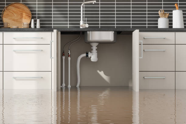 Best Water damage restoration near me  in Penrose, CO