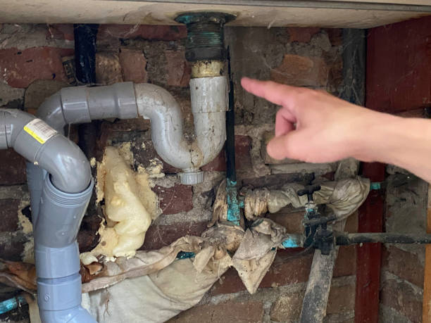 Best Water damage restoration process  in Penrose, CO